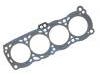 Cylinder Head Gasket:11044-D1700