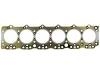 Cylinder Head Gasket:1-11141-170-1