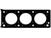 Cylinder Head Gasket:0203.67