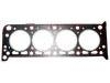 Cylinder Head Gasket:0203.84