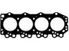 Cylinder Head Gasket:SE01-10-271