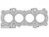 Cylinder Head Gasket:1 304 003