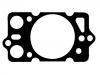 Cylinder Head Gasket:60605900