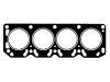 Cylinder Head Gasket:6 060 903