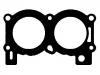 Cylinder Head Gasket:8 811 994