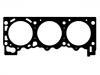 Cylinder Head Gasket:10104900