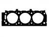 Cylinder Head Gasket:10110200