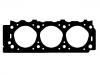 Cylinder Head Gasket:10141500