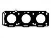 Cylinder Head Gasket:60566395