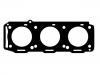 Cylinder Head Gasket:60570352