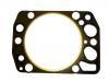 Cylinder Head Gasket:30-025059-10