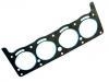 Cylinder Head Gasket:FCW910