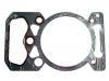 Cylinder Head Gasket:50 00 676 939