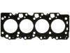 Cylinder Head Gasket:11115-64110