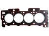 Cylinder Head Gasket:0209.Y0