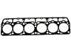 Cylinder Head Gasket Cylinder Head Gasket:0761513