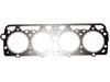 Cylinder Head Gasket Cylinder Head Gasket:H11365-10