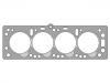 Cylinder Head Gasket Cylinder Head Gasket:06 07 466