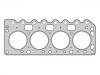 Cylinder Head Gasket Cylinder Head Gasket:1 000 389