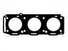 Cylinder Head Gasket Cylinder Head Gasket:60569900