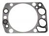 Cylinder Head Gasket Cylinder Head Gasket:422 016 04 20