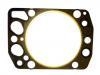 Cylinder Head Gasket Cylinder Head Gasket:30-026235-10