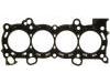 Cylinder Head Gasket Cylinder Head Gasket:10136700